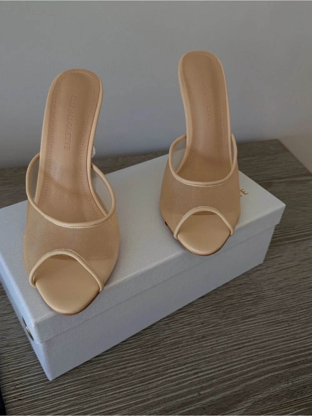 Nude Mesh Open-Toe Stiletto Mule. Brand new! ✨